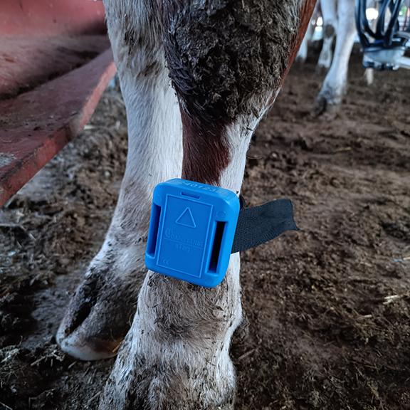s-Tag – Device